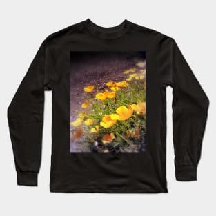 california poppies 3 Long Sleeve T-Shirt